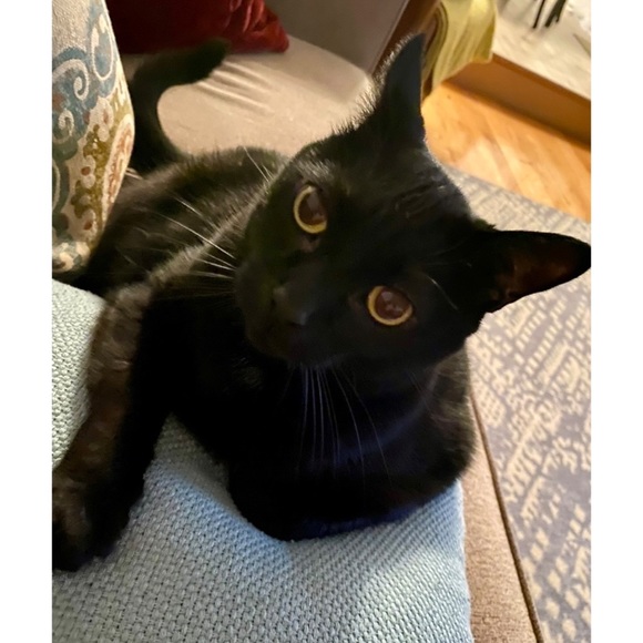 Hi! I'm Jess! - Picture 1 of 1